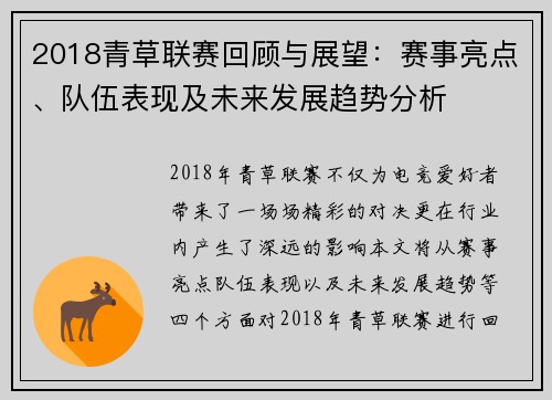 2018青草联赛回顾与展望:赛事亮点、队伍表现及未来发展趋势分析